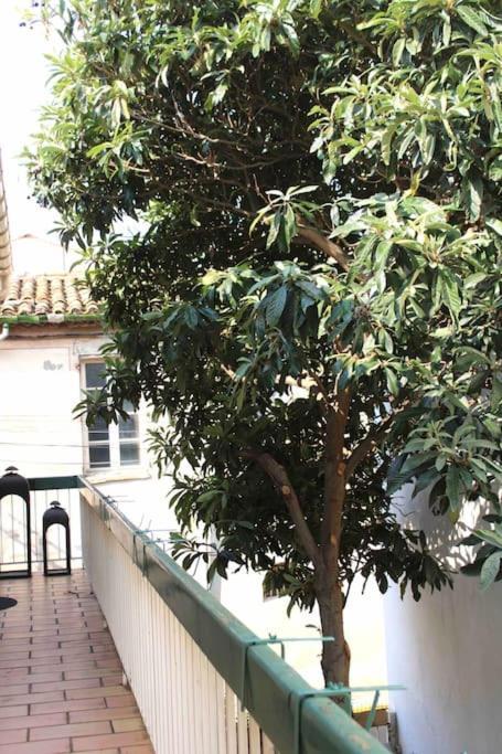 Spacieux Appartement 4 Couchages, Terrasse Privee Нарбонн Екстер'єр фото